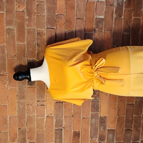 Tangerine belted jumpsuit - Picture 2 of 10